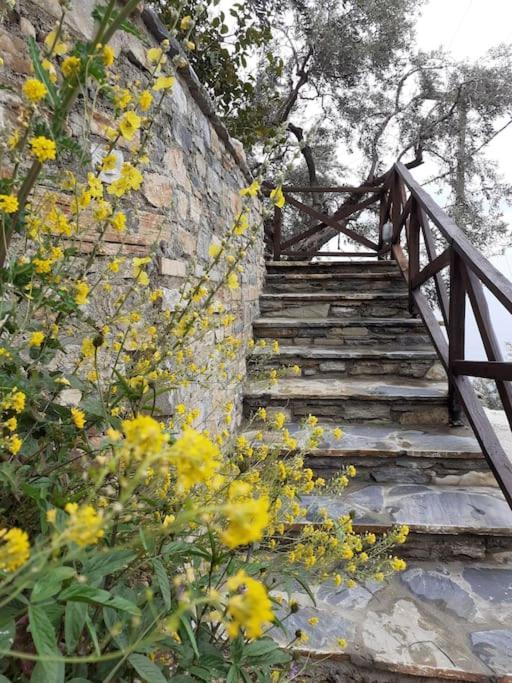 Villa Limnionas Sunview Xorychti Esterno foto